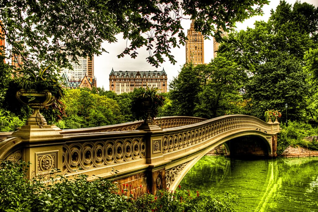 Serene River Bridge Wallpaper: Nature Meets Urban Architecture