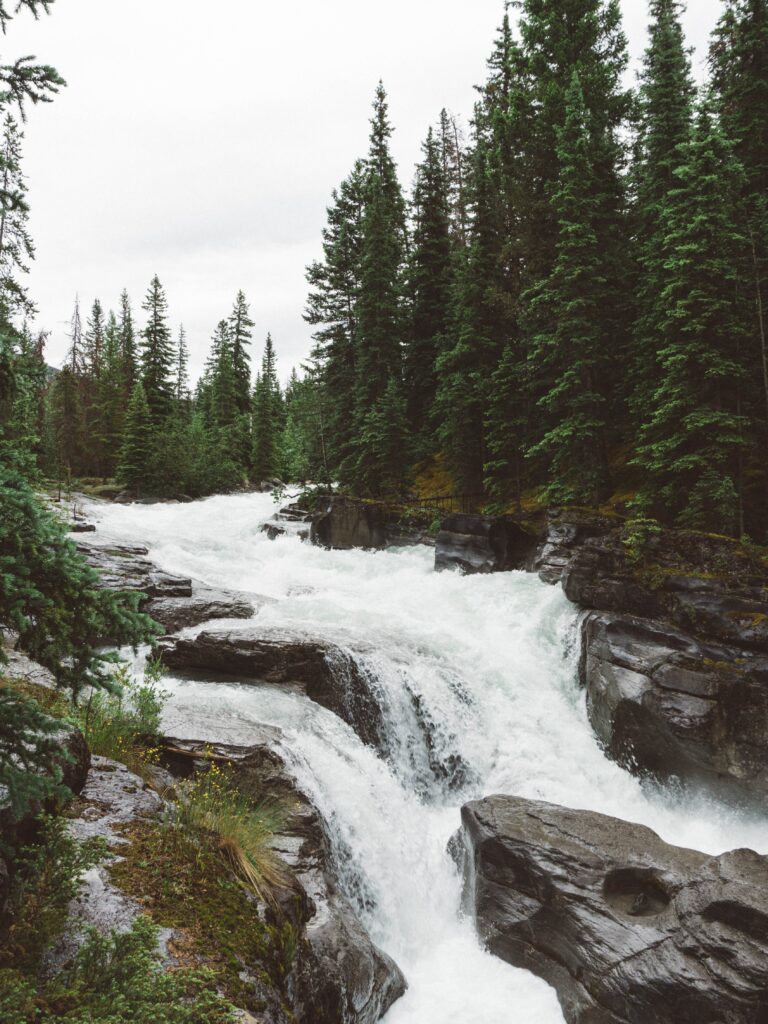 River cascading over rugged rocks with dense evergreen forest for nature wallpaper background