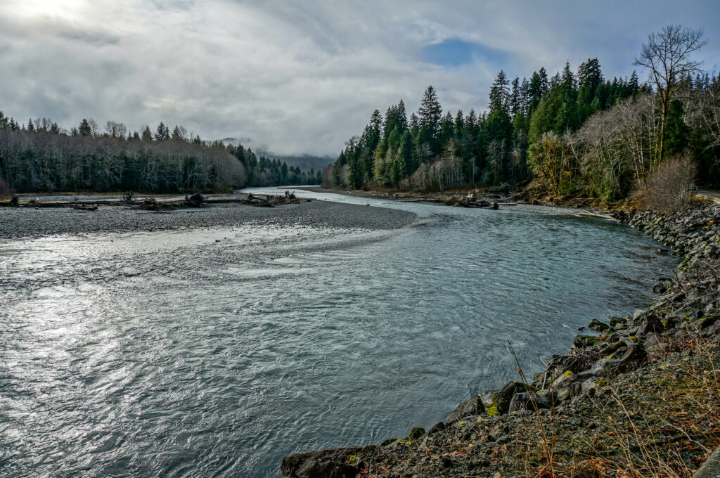 Serene river winding through lush green forest with tall trees rocky banks under cloudy sky wallpaper