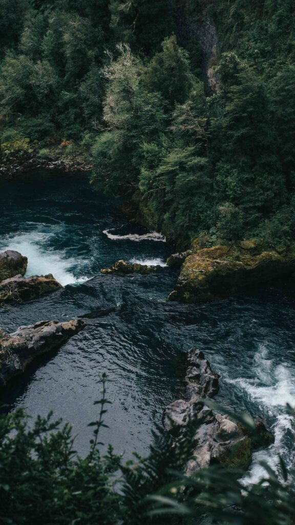 Serene river with dense green trees and rugged rocks reflecting deep blue water nature wallpaper