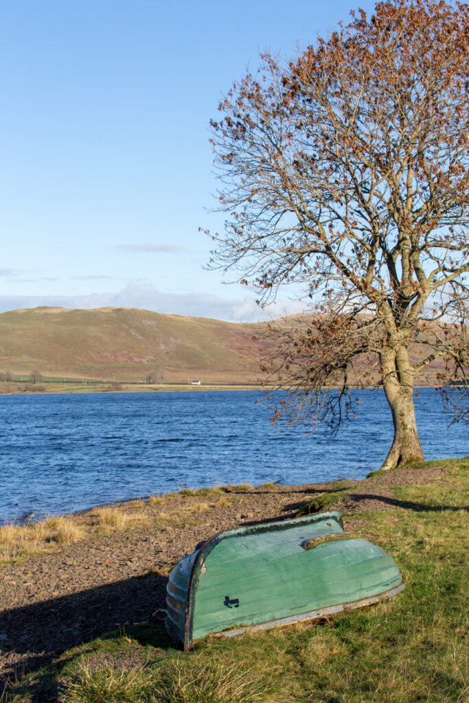 Weathered green boat upside down on grassy riverside near autumn tree calm blue water background Wallpaper
