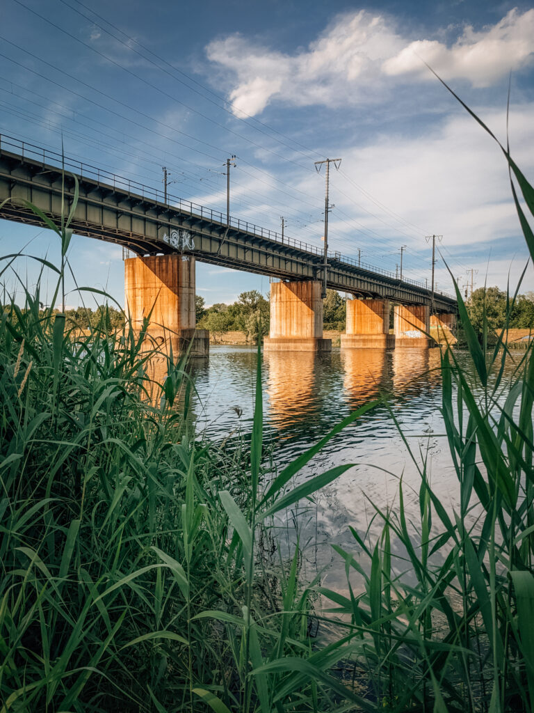 Tranquil riverside with sturdy bridge over calm water surrounded by green reeds and blue sky Wallpaper