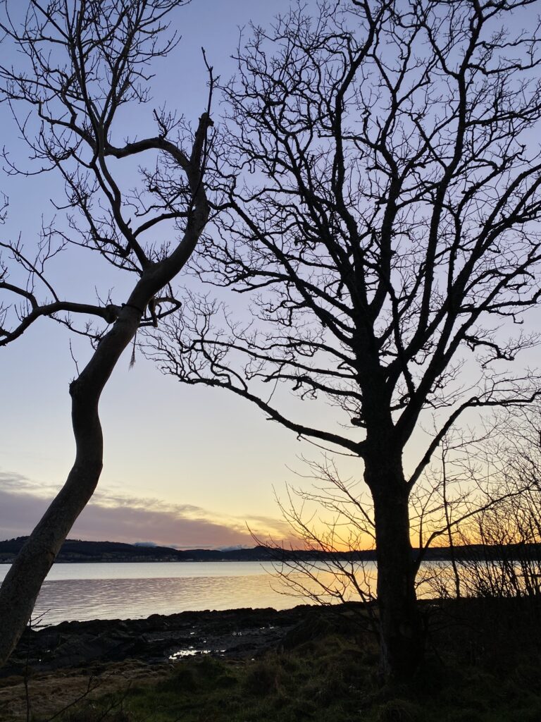 Serene riverside at dusk with silhouetted trees and colorful sky reflecting on calm water wallpaper