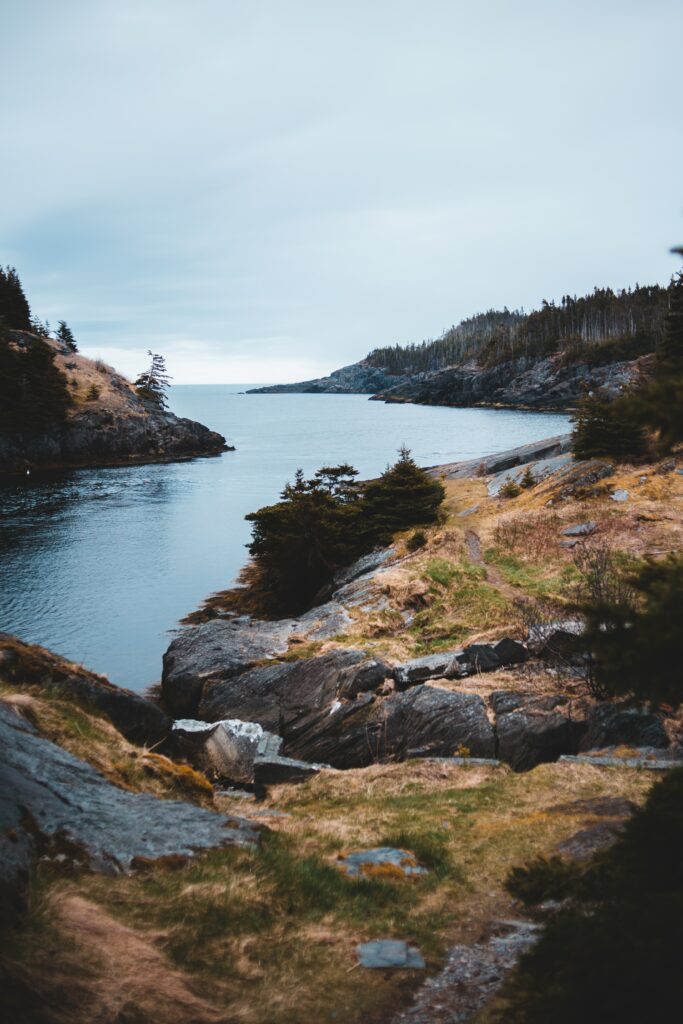 Serene riverscape with calm water flowing through rugged rocks and lush green trees background Wallpaper