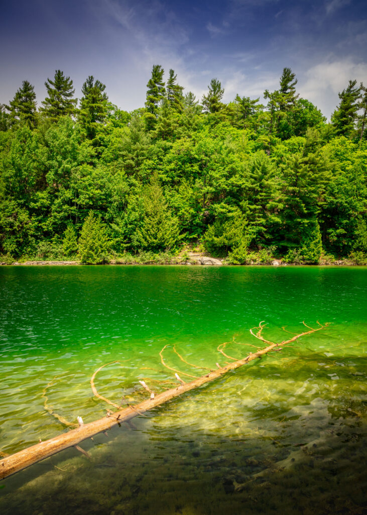 Serene riverside with lush green trees vibrant emerald water and fallen tree trunk under blue sky Wallpaper
