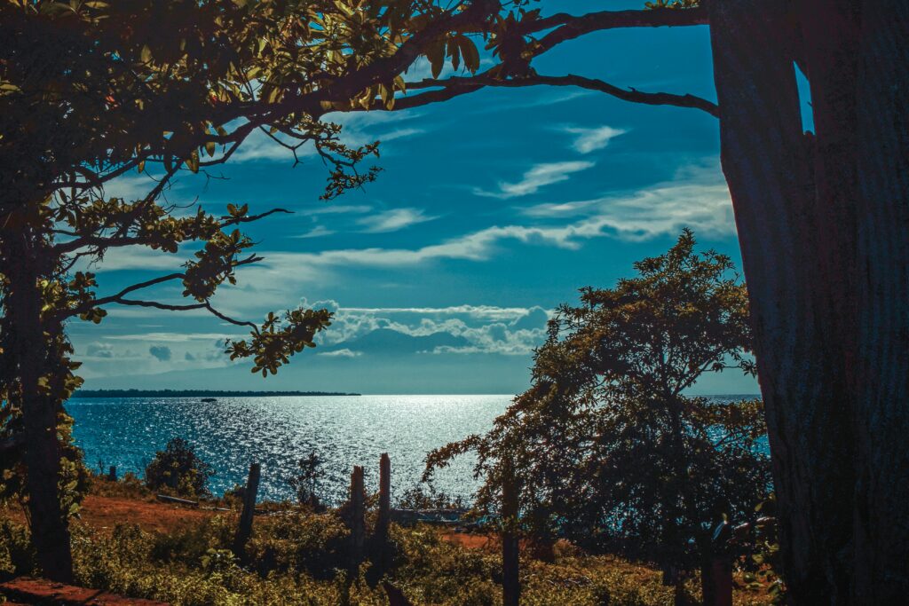Serene riverside wallpaper with sunlight shimmer lush green trees and blue sky with clouds