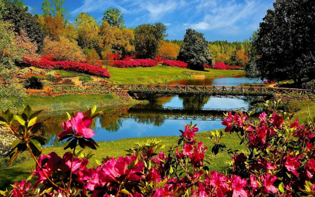 Serene Riverside Landscape Wallpaper with Flowers and Bridge