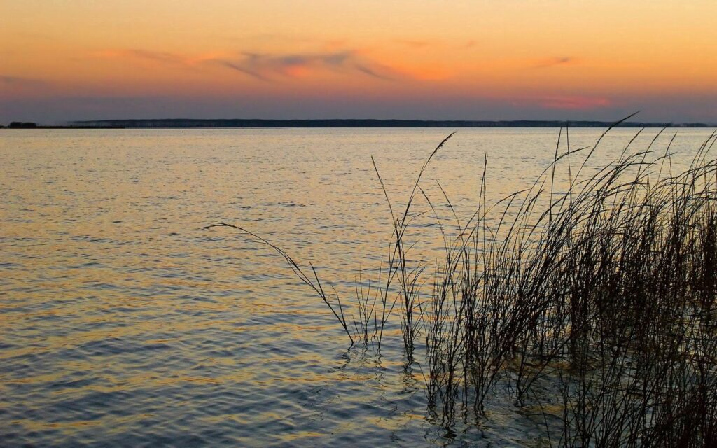 Serene riverside sunset wallpaper with gentle waves tall grass and soft orange blue sky background