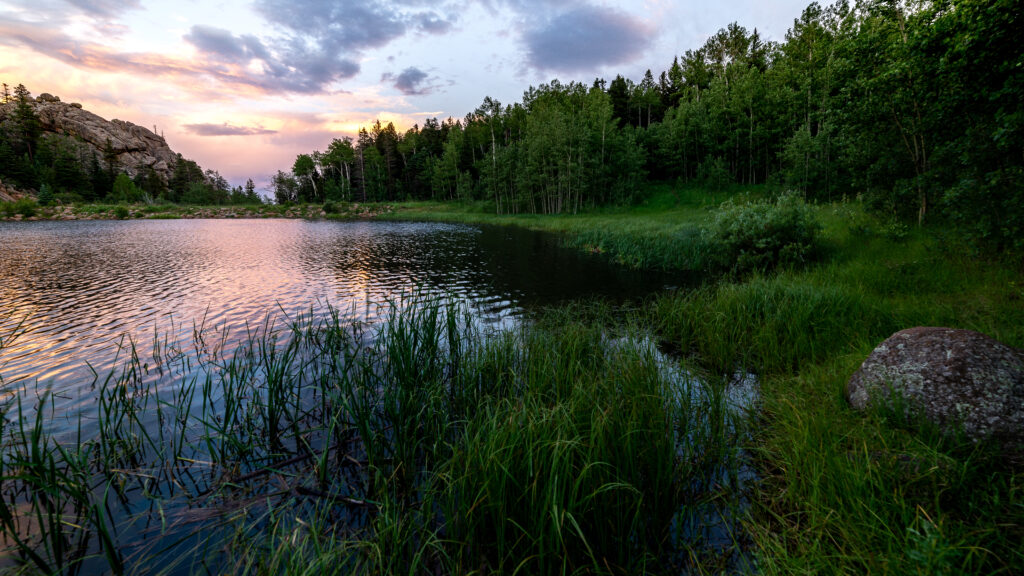Serene riverside landscape with lush grass tall trees and colorful sunset sky reflecting on water Wallpaper