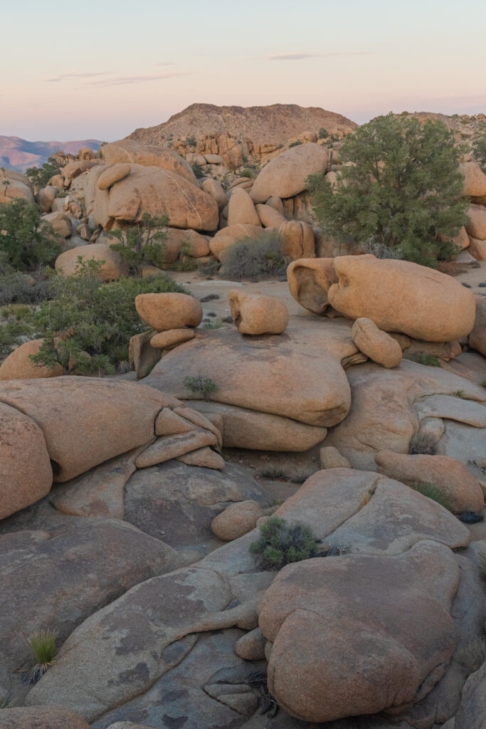 Serene rugged mountains and rounded stones with resilient trees under soft natural light wallpaper