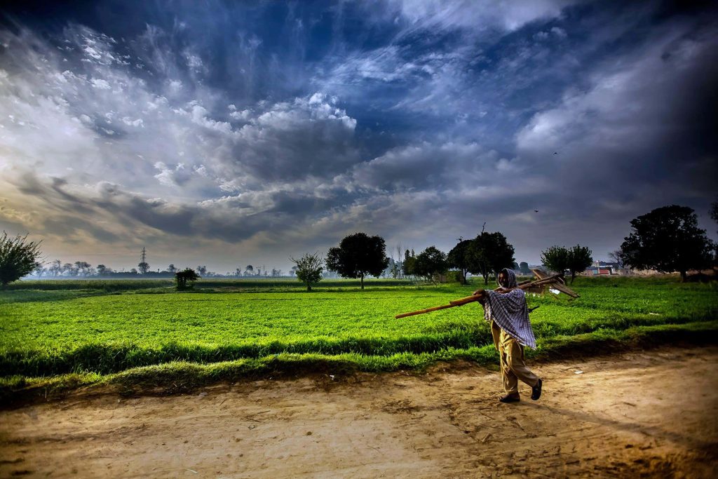 Farmer walking with wooden plow on dirt path in vibrant green field under cloudy sky rural life Wallpaper