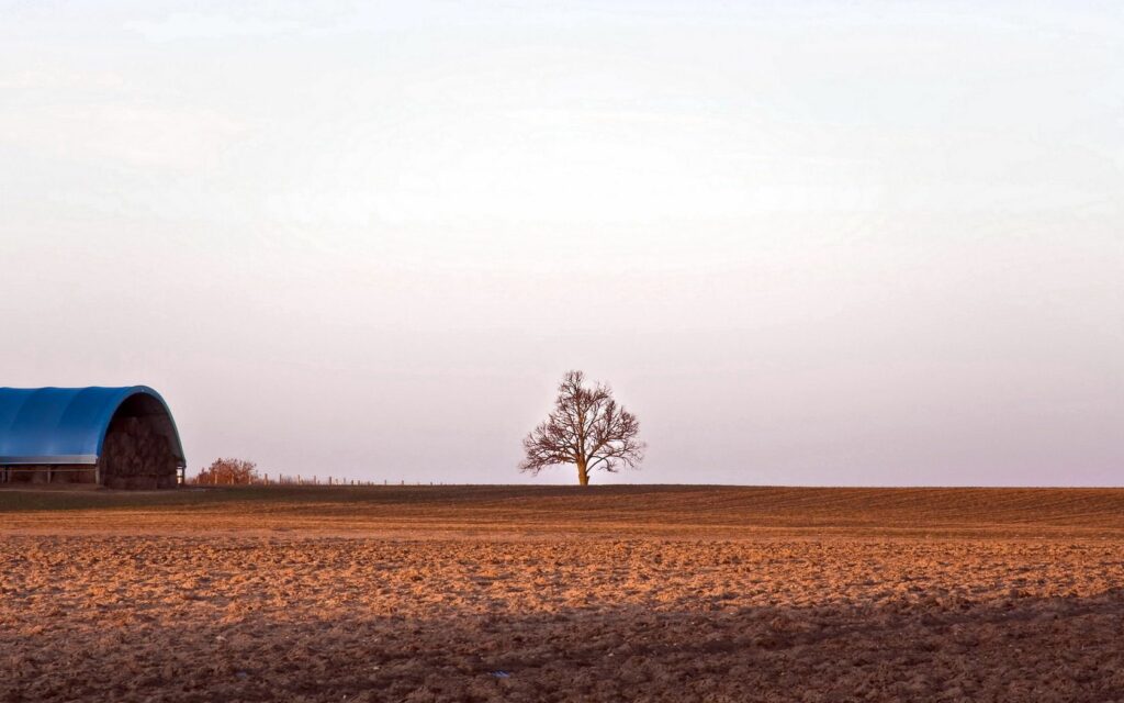 Serene rural landscape with lone tree and blue roof barn in freshly mowed field at sunset Wallpaper