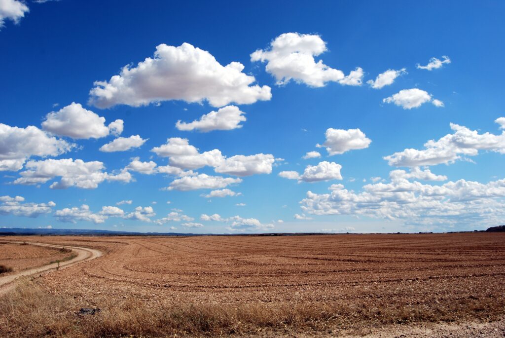 Vibrant rural landscape with golden grass winding dirt road and blue sky with white clouds wallpaper
