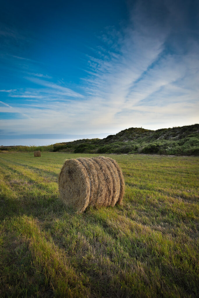 Peaceful rural field with large hay bales on green grass under vivid blue sky with soft clouds Wallpaper