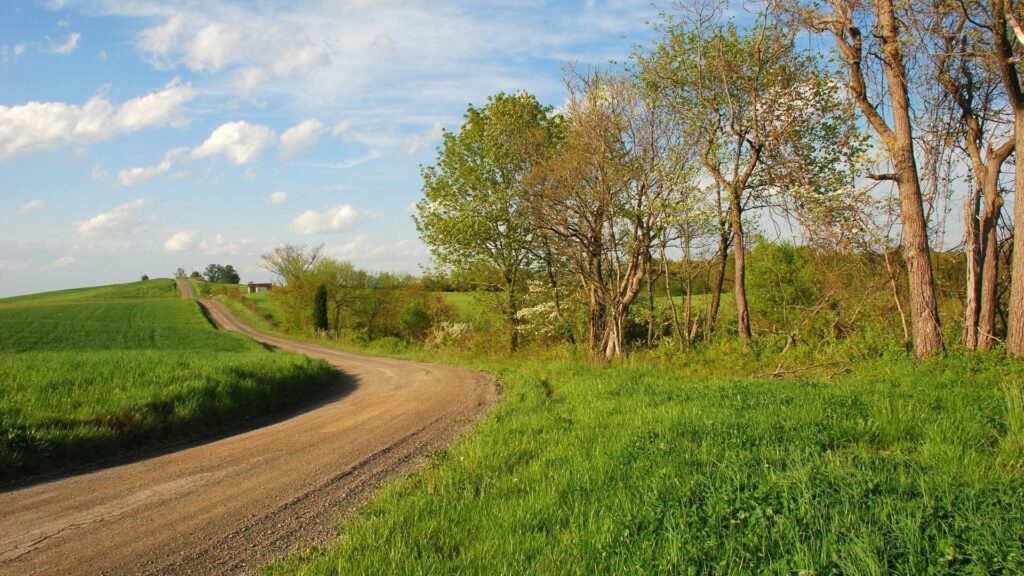 Peaceful rural landscape with green grass tall trees and winding dirt path under bright sky Wallpaper