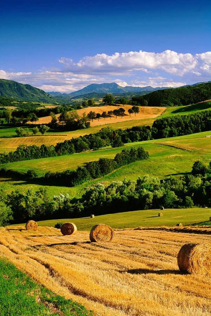 Golden hay bales on harvested field with rolling green hills and mountains under blue sky Wallpaper