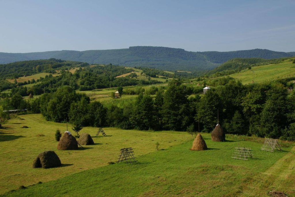 Serene rural Moldova farm landscape with green pastures haystacks forest hills blue sky wallpaper