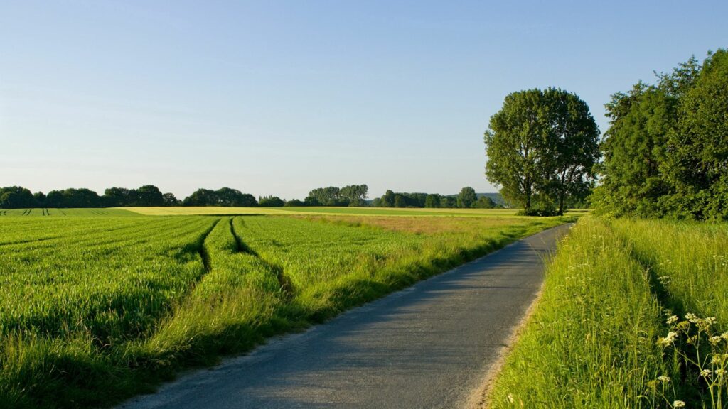 Asphalt road winding through green fields and trees under clear blue sky serene rural landscape Wallpaper