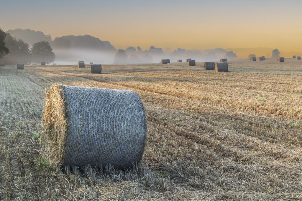 Serene rural landscape with golden haystacks foggy field trees silhouette sunrise wallpaper background