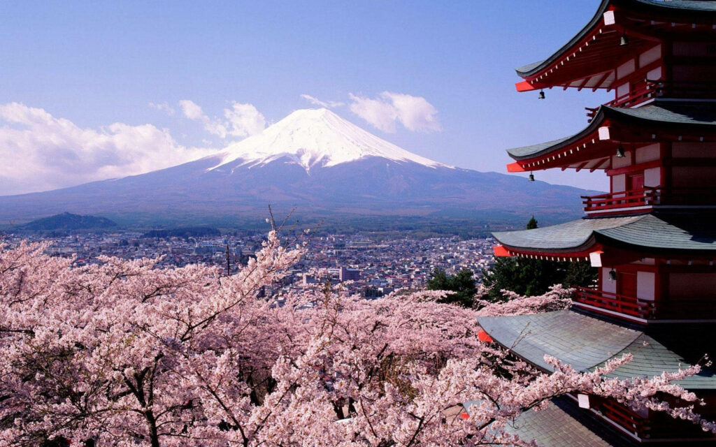 Captivating Cherry Blossoms and Majestic Mount Fuji at Arakurayama Sengen Park Wallpaper
