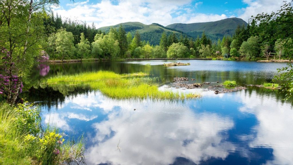Serene Scottish loch with clear blue sky purple rhododendrons green hills and aquatic grasses Wallpaper