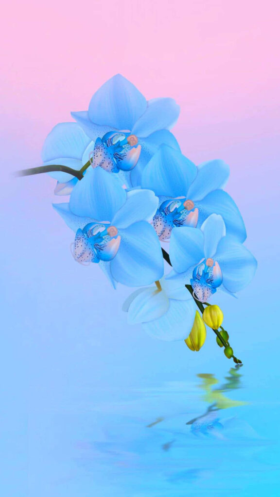 Serene Sea Blue Flowers & Soft Pink Sky - Dreamy Background Wallpaper