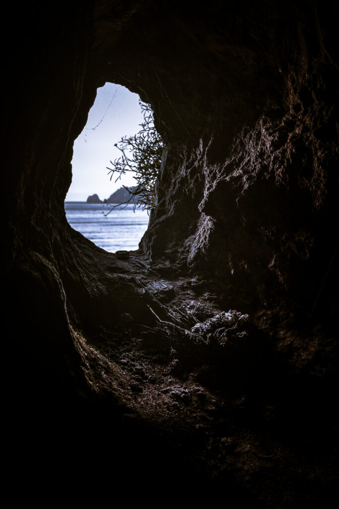 Rugged cave entrance framing tranquil sea view with soft daylight on rocky textures and branches Wallpaper