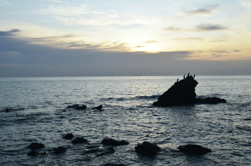 Serene seascape with birds on rocks at sunset soft blue and gold sky coastal wallpaper background