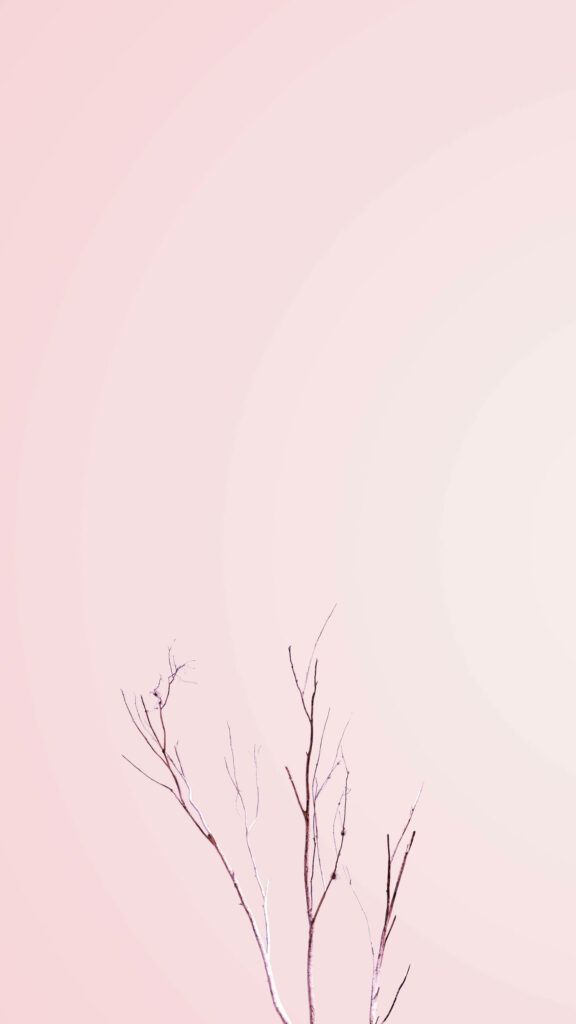 Pastel Pink Serenity: Captivating Minimalist Wallpaper with Delicate Tree Branches