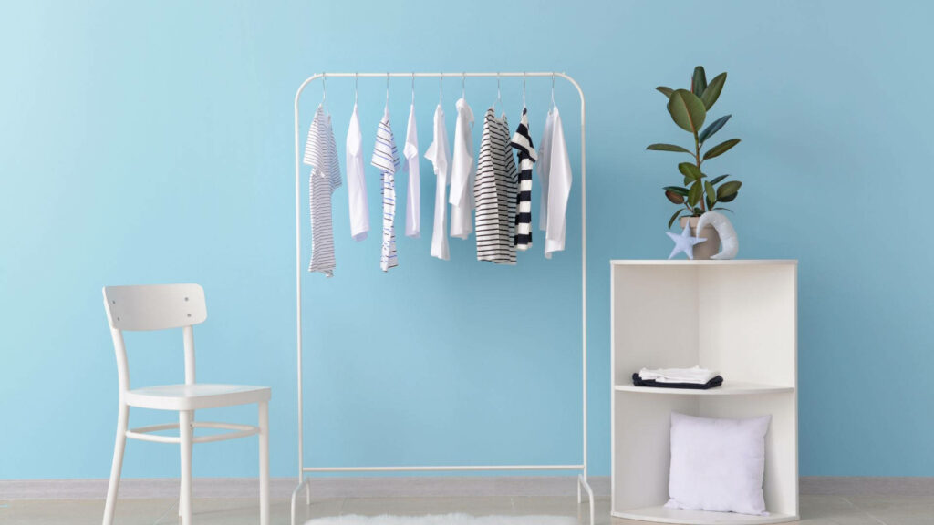 Minimalist Living: A Captivating Snapshot of a Room with a Subtle Closet Display Amidst Delicate Décor and a Serene Sky Blue Backdrop Wallpaper