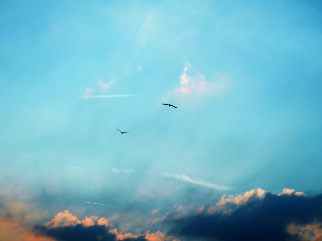 Tranquil HD Wallpaper: Serene Sky & Bird Silhouettes Background