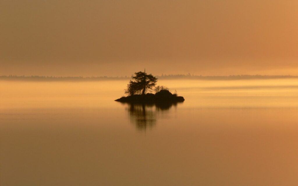 Small island with lone tree and bushes in calm golden evening water serene peaceful wallpaper