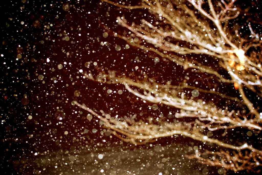 Serene Snow-Covered Branches Wallpaper: Evening Light & Snowflakes