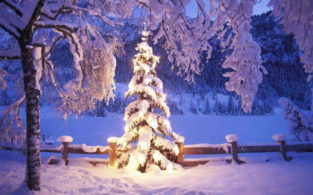 Serene Winter Landscape: Snowy Christmas Tree Wallpaper Background