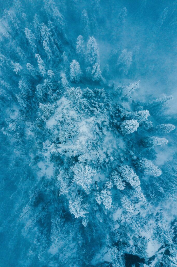 Aerial view of snow-covered forest with frosty trees creating patterns on a blue winter landscape Wallpaper