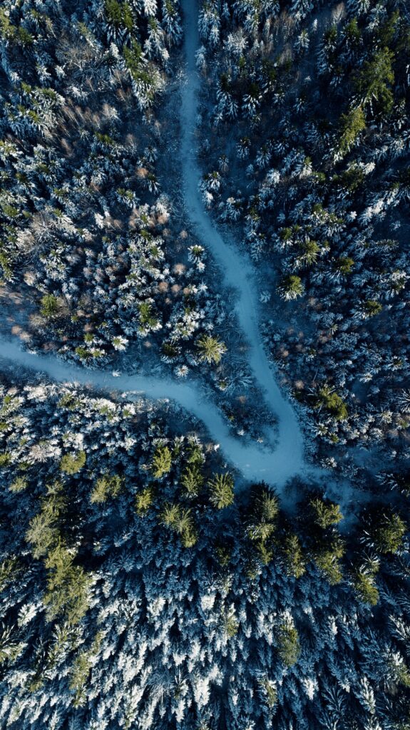 Aerial view of snow-covered forest with winding road through green pine trees winter landscape wallpaper