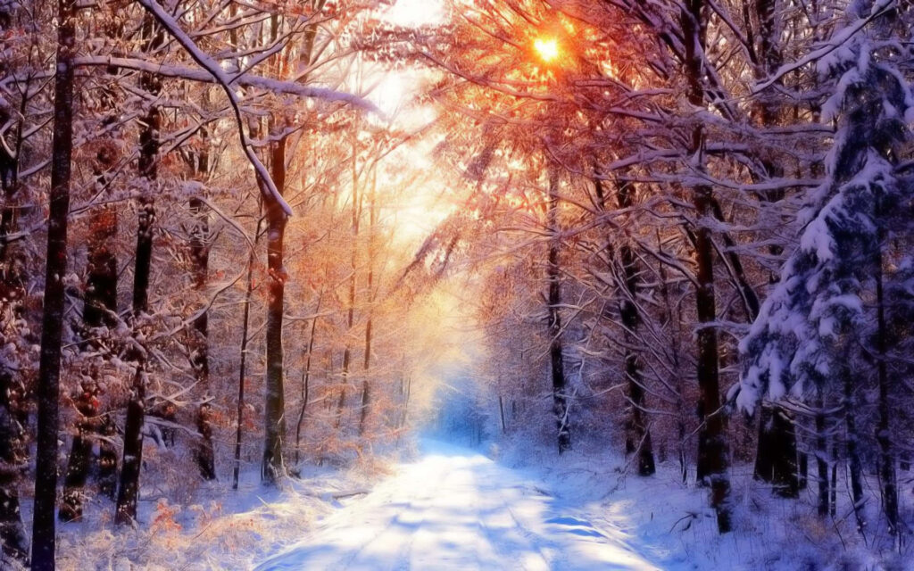 Serene Snow-Covered Forest Path Wallpaper at Sunrise