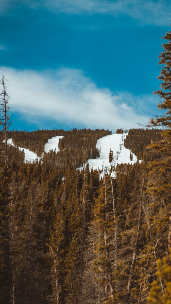 Snow-covered mountain slope through dense green forest under vibrant blue sky with white clouds Wallpaper