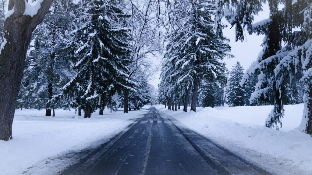 Serene snow-covered road with tall frosted trees in peaceful blue white winter landscape wallpaper