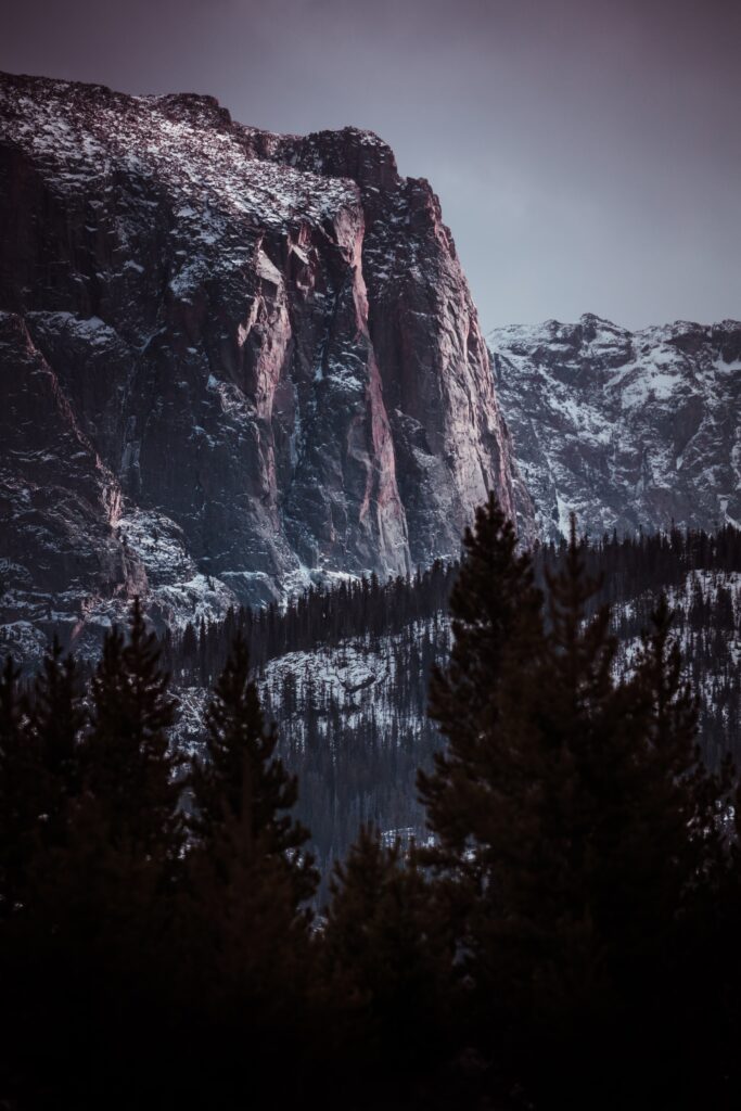 Dramatic mountain landscape with snow-dusted rocks and dense evergreen forest in muted tones Wallpaper
