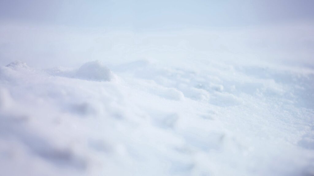 Serene Snow Wallpaper: Peaceful White Background for Tranquil Spaces