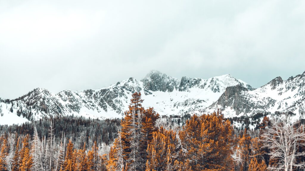 Serene mountain landscape with snow-covered peaks forest of evergreen and autumn trees under clouds Wallpaper