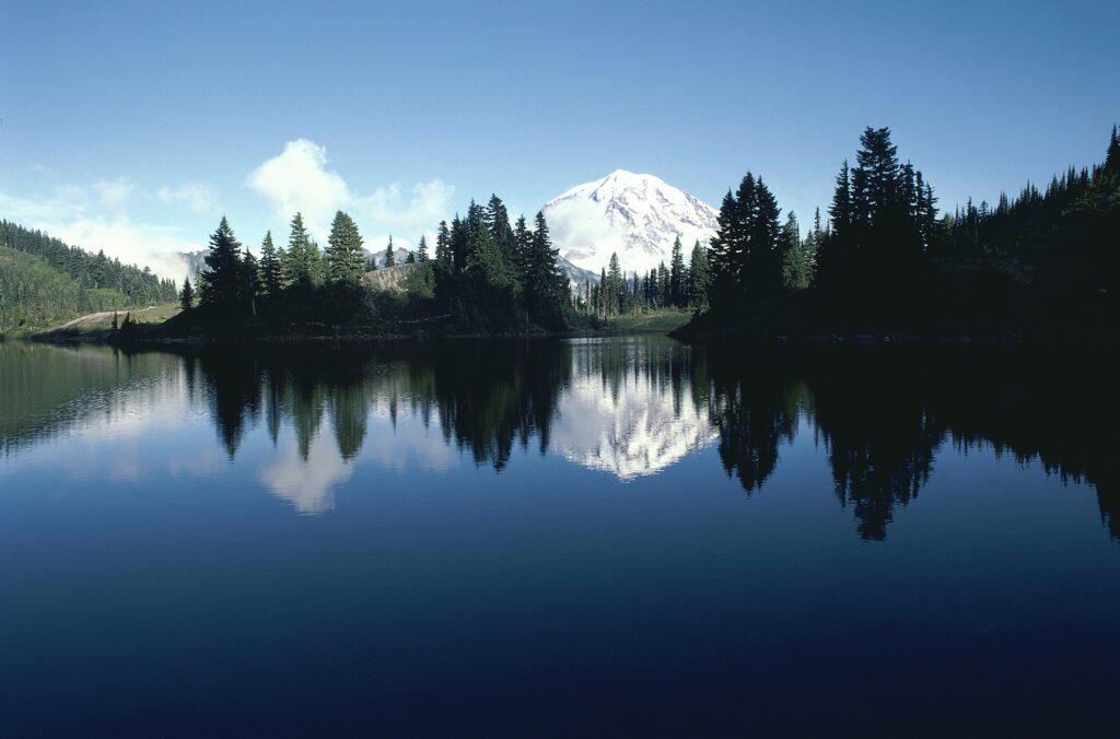 Snow-capped mountain above green fir trees reflected in calm river peaceful nature wallpaper