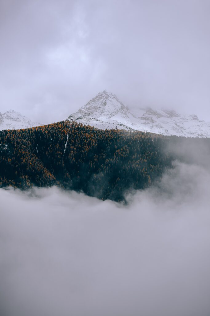 Snowy mountains above autumn forest with misty clouds serene landscape wallpaper background
