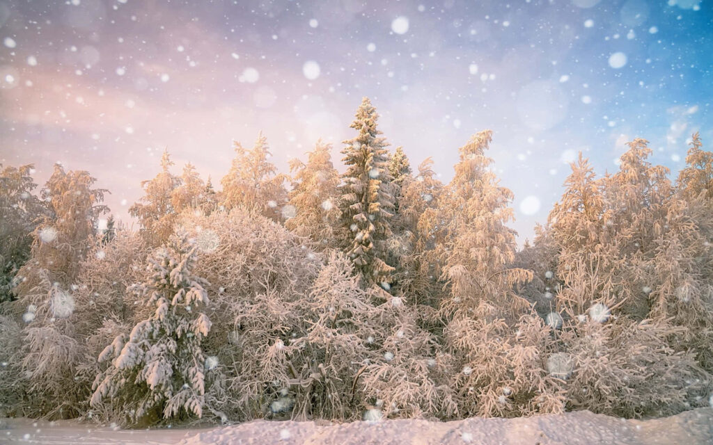 Tranquil Snowfall Wallpaper: Snow-Covered Trees & Pastel Sky