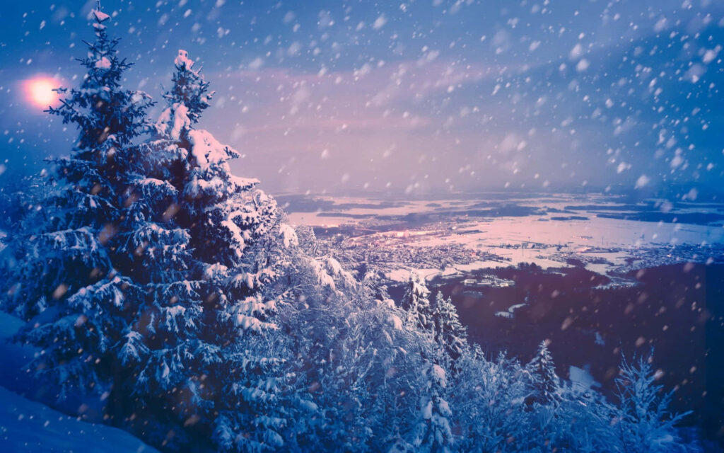 Serene Snowfall Wallpaper: Winter Landscape with Trees & Twilight Sky