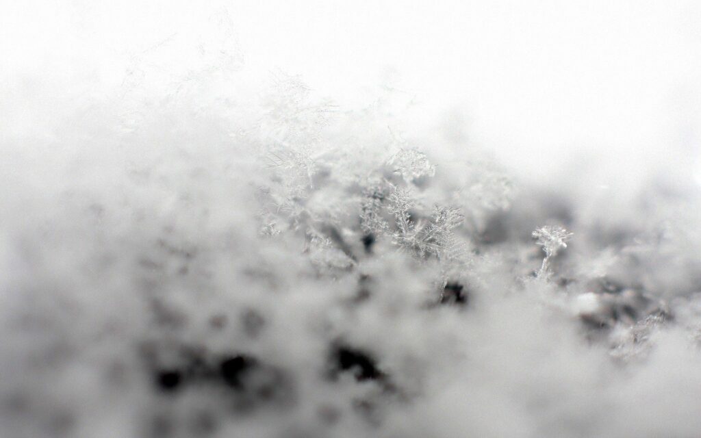 Delicate Snowflake Wallpaper: Serene Minimalism on Soft Snowy Surface