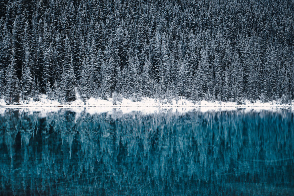 Serene Snowy Forest Reflection Wallpaper for Tranquil Background