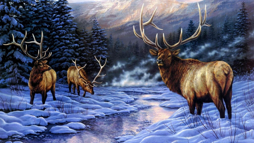 Serene Snowy Elk Wallpaper: Tranquil Stream & Towering Evergreens