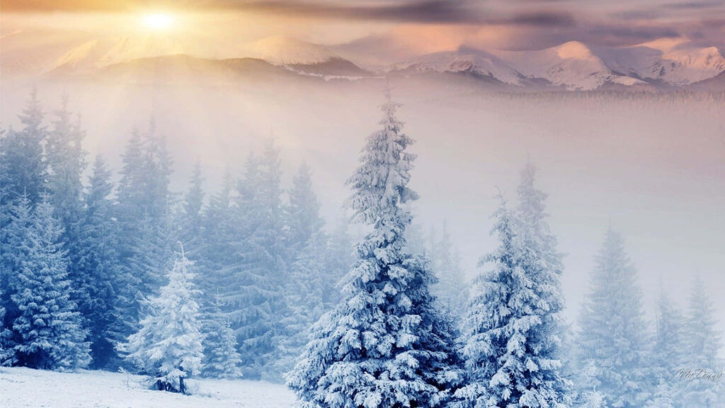 Serene Snowy Winter Landscape Wallpaper with Frosty Trees Background